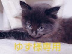 ゆず様専用出品 鬼滅の刃 ここみえのサムネイル