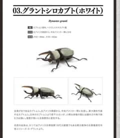 バンダイ生き物大図鑑かぶとむし03 グラントシロカブト（白）のサムネイル