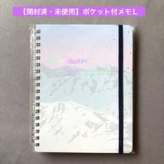 【開封済・未使用】DELFONICS ロルバーン ポケット付メモ L ネージュBのサムネイル