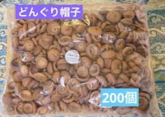 北海道レッドオーク どんぐりミックス帽子200個 - メルカリ