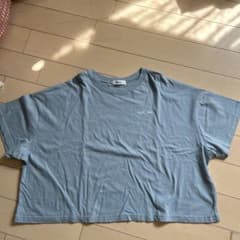 丈短のTシャツのサムネイル