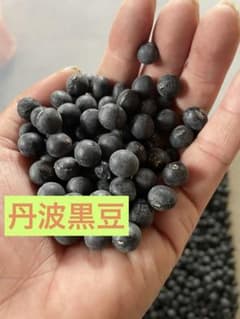 丹波黒大豆　b級品のサムネイル