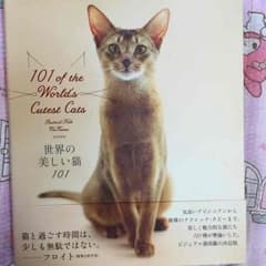 猫写真集のサムネイル