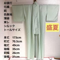 【お値打　トールサイズ】東レシルック　絽　色無地　薄緑　裄丈70.5 身丈173 お値打 トールサイズ】東レシルック 絽 色無地 薄緑 裄丈70.5 身丈173
