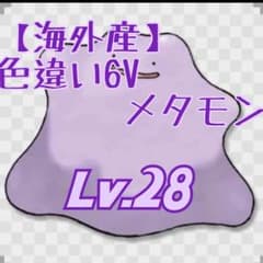 【海外産】色違い 6V メタモンのサムネイル