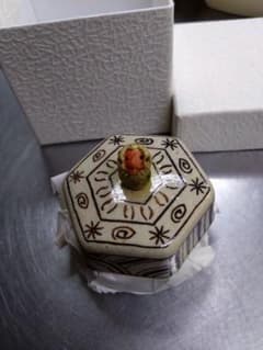 茶道具 香合 5㌢のサムネイル