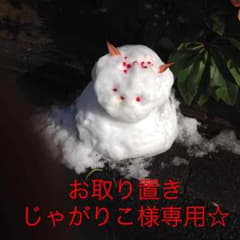 じゃがりこ様専用☆のサムネイル