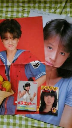 中森明菜　レア　ミニ写真集　付録本　ポスターのサムネイル