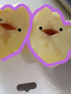 育ちすぎたジャガイモのサムネイル