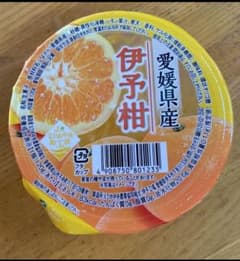 愛媛県産 伊予柑ゼリー 30個のサムネイル