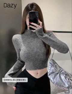 Dazy ハイネック リブニット ショート丈 グレーのサムネイル