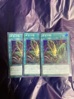 遊戯王 捕食活動3枚セットのサムネイル
