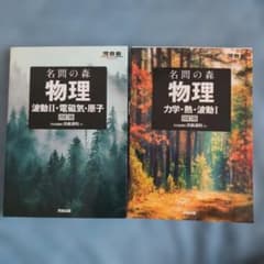 名問の森 物理 四訂版のサムネイル