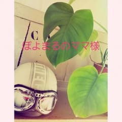 アースマジックソックス＆グラグラハットのサムネイル