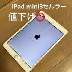 iPad Mini 第3世代 16GB セルラー - メルカリ