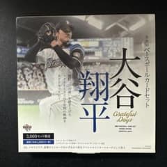 大谷翔平 grateful days BBM 2018 開封済み【値段交渉可】のサムネイル