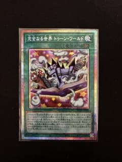 完全なる世界 トゥーン・ワールド プリシク - メルカリ