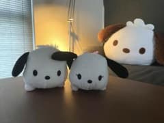 ポチャッコ　ポチャミ　ぬいぐるみセットのサムネイル