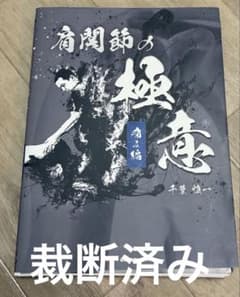 肩関節の極意. 痛み編　千葉 慎一のサムネイル