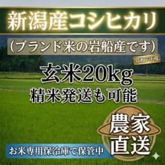玄米20kg】新潟産コシヒカリ 岩船産コシヒカリ 農家直送 - メルカリ