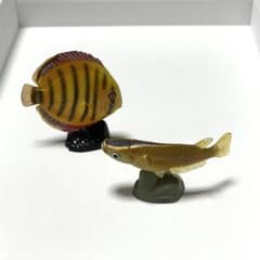 魚 フィギュア 2体セット海洋堂フルタチョコエッグのサムネイル