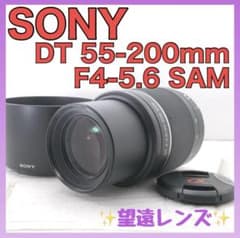 訳あり】SONY DT 55-200mm F4-5.6 SAM 望遠レンズ - メルカリ