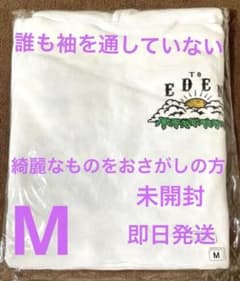 新品未開封UVERworld EDEN パーカー Mサイズ 貴重！新品未使用 未開封UVERworld EDEN パーカーMサイズ 即日発送