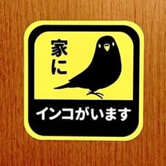「家に、インコがいます。」カーステッカー 車用、玄関などに。撥水加工のサムネイル