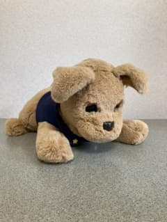 ぬいぐるみ ダッキースターとキーホルダー　電池付きのサムネイル