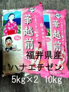 福井県産 ハナエチゼン 華越前 10kg (5kg×2) 5月上旬精米のサムネイル
