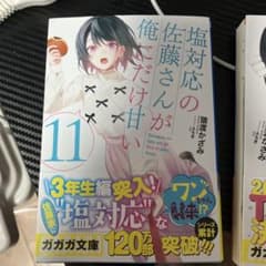 塩対応の佐藤さんが俺にだけ甘い 11・12巻セットのサムネイル