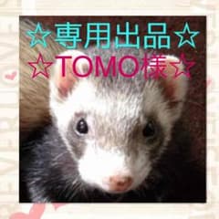 TOMO様☆専用です！のサムネイル