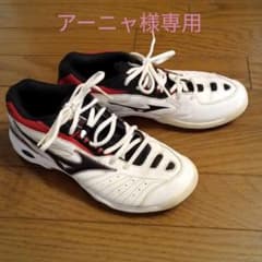 ☆売り尽くしお値下げ！☆ミズノスニーカー　25.0cmのサムネイル