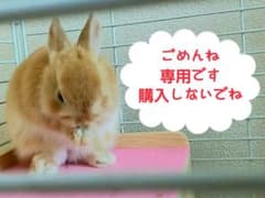 サマンサモスモス エヘカソポ前後着リボン裏毛プルオーバーのサムネイル