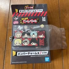 TinyTAN 一番くじ チャーム 全員のサムネイル