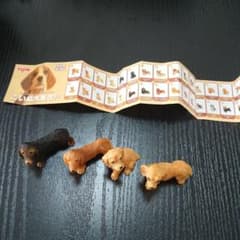 こいぬ大集合!! ミニチュアダックスフンド ゴールデンレトリバー 4匹