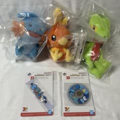 ポケモン　一番くじ　E賞　ホウエン地方旅立ちの3匹ぬいぐるみ　コンプリートセット ポケモン 一番くじ ホウエン地方 旅立ちの3匹 ぬいぐるみコンプリート
