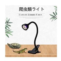 爬虫類用ランプのサムネイル