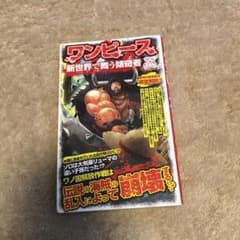 ワンピース新世界で舞う傾奇者のサムネイル