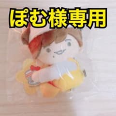 ぽむ様専用のサムネイル