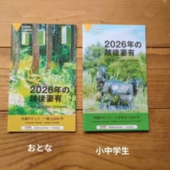 2026大地の芸術祭共通チケット　子ども+大人のサムネイル