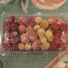 ドライフラワー ☆ 千日紅のサムネイル