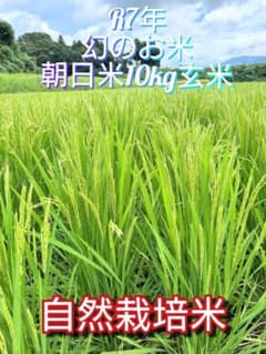 R7年 自然栽培米 朝日米10kg玄米 R7年 自然栽培米 朝日米10kg玄米 - メルカリ
