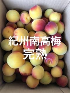 完熟梅　和歌山県産　紀州南高梅　箱込み2キロのサムネイル