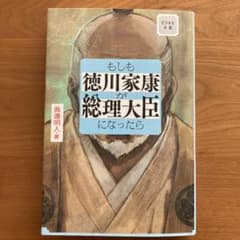 ビジネス小説 もしも徳川家康が総理大臣だったらのサムネイル