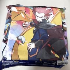 ポケモン トレーナーズ ワタル&カイリュー Tシャツ ポケセン レア 希少