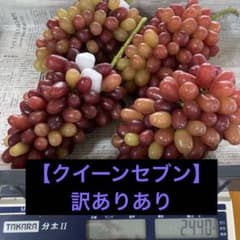 訳ありあり現品】【本日10/6発送】長野県産クイーンセブン約2.44kg