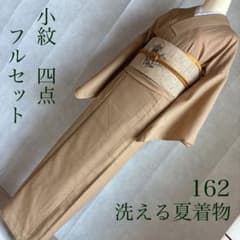 単衣 小紋 フルセット 夏着物 洗える着物 絽 紗 Lサイズ さんび N1