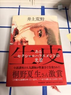 生皮 あるセクシャルハラスメントの光景 井上荒野 朝日新聞出版のサムネイル