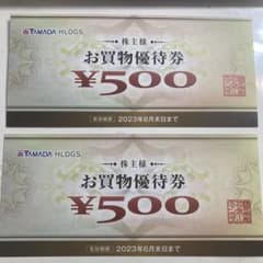 ヤマダ電機　株主優待券500円券×2枚のサムネイル